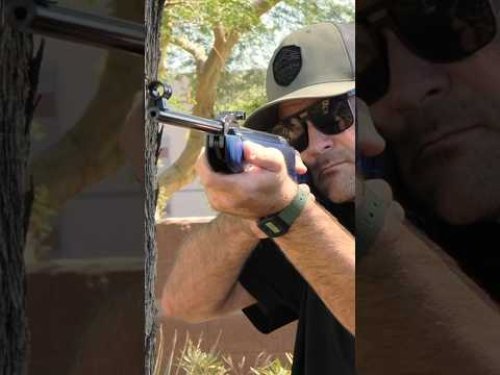 Video post from airgunsofarizona.
