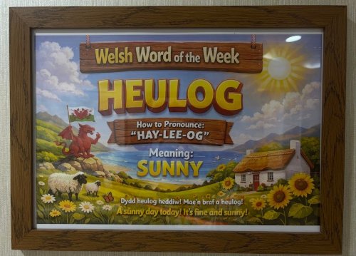 Photo post from Llys Cyncoed Care Home.