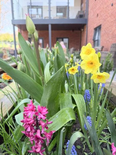 Carousel post from Oat Hill Mews Care Home.