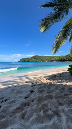Video post from Octopus Resort, Fiji.