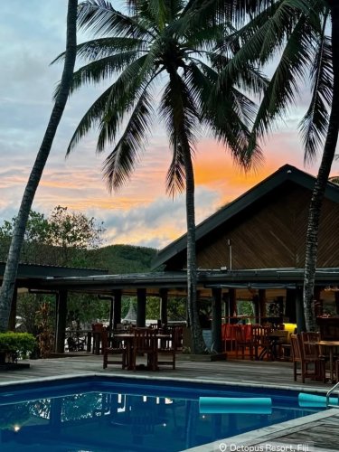 Carousel post from Octopus Resort, Fiji.