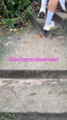 Video post from Octopus Resort, Fiji.