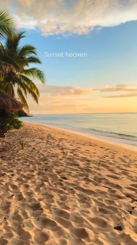 Video post from Octopus Resort, Fiji.