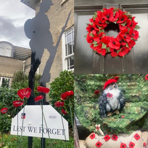 Carousel post from Salisbury Manor Care Home.