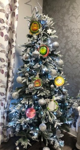 Photo post from Salisbury Manor Care Home.