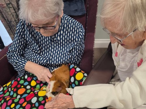 Photo post from Oxbow Manor Care Home.