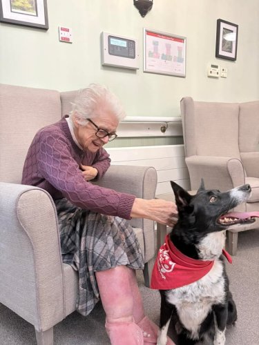 Carousel post from Grangewood Care Home.