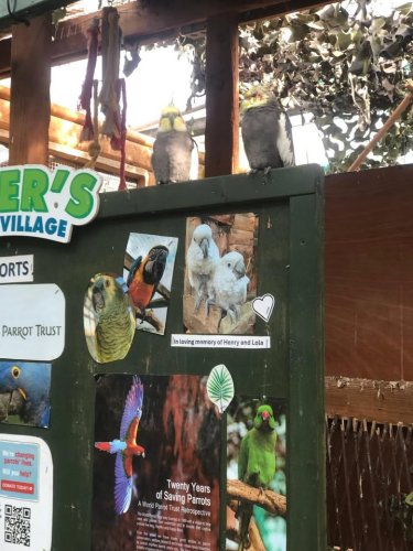 Carousel post from Grangewood Care Home.