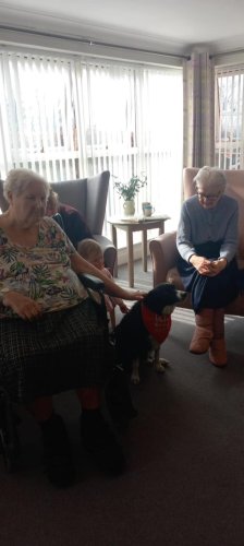 Carousel post from Grangewood Care Home.