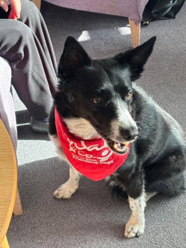 Carousel post from Grangewood Care Home.