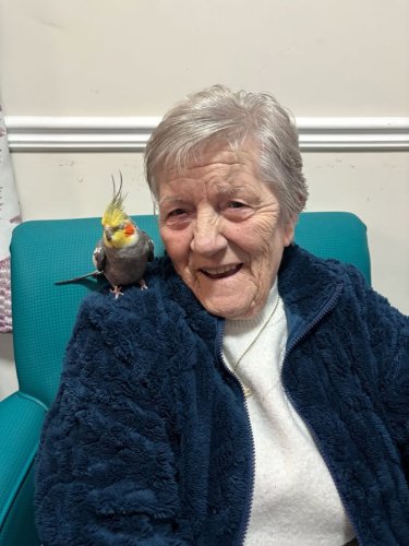 Carousel post from Lennox House Care Home.