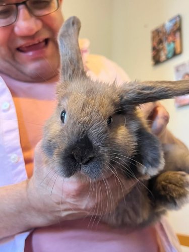 Carousel post from Lennox House Care Home.