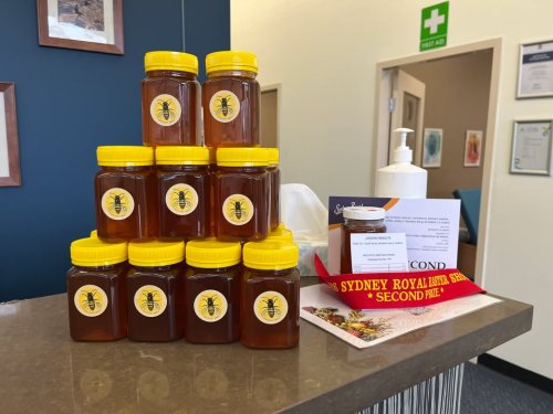Photo post from Wycliffe Christian School.