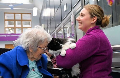 Photo post from Martlet Manor Care Home.
