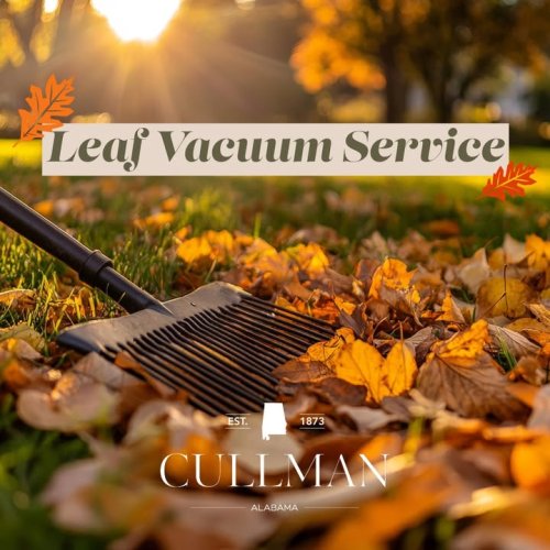 Photo post from City of Cullman - Government.