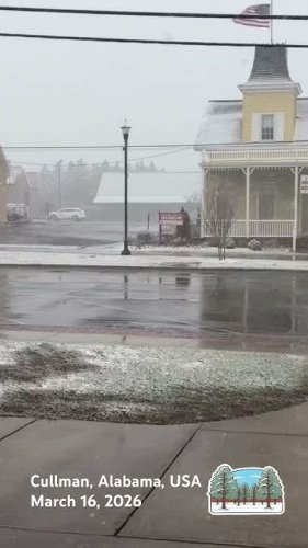 Video post from City of Cullman - Government.