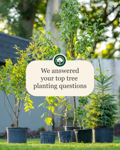 Carousel post from City of Bethlehem.