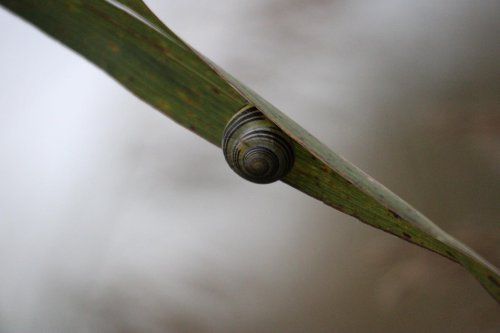 Photo post from lewesrailwayland.