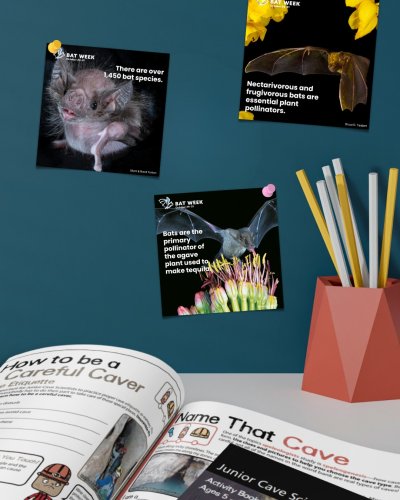 Photo post from ngsmagnified.