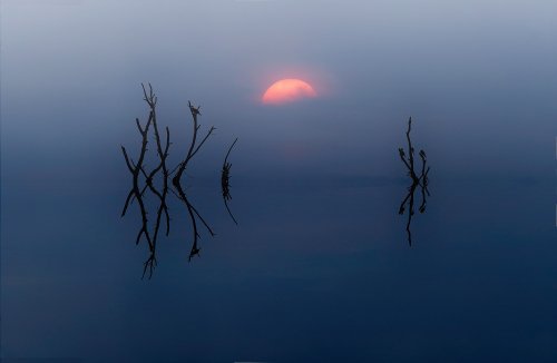 Photo post from rpslandscape.