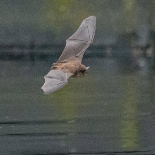 Photo post from _the_sunny_zhang_.