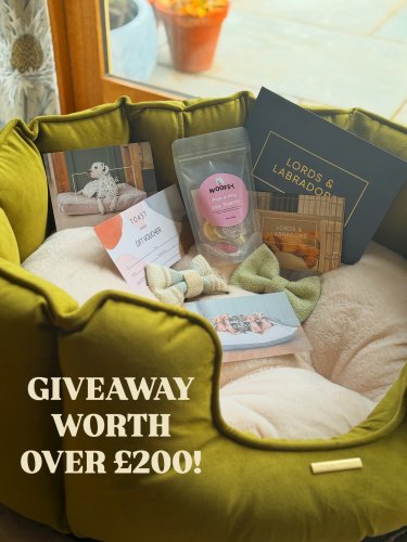 Carousel post from toast_flyford.