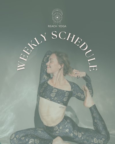 Carousel post from reachyoga_sd.