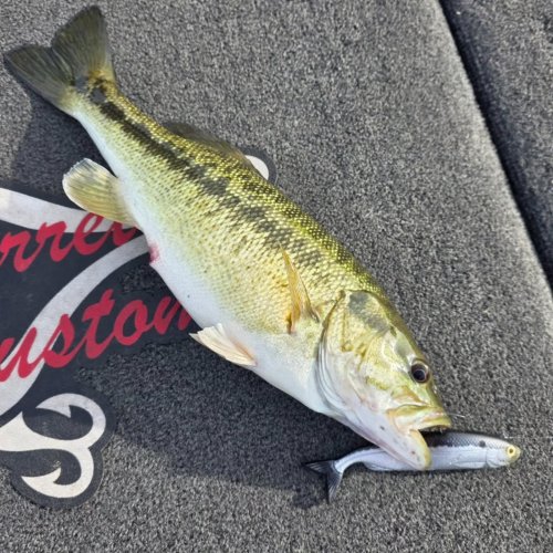 Photo post from garrettscustoms.