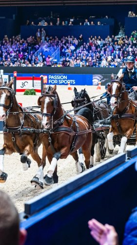 Video post from fei_global.