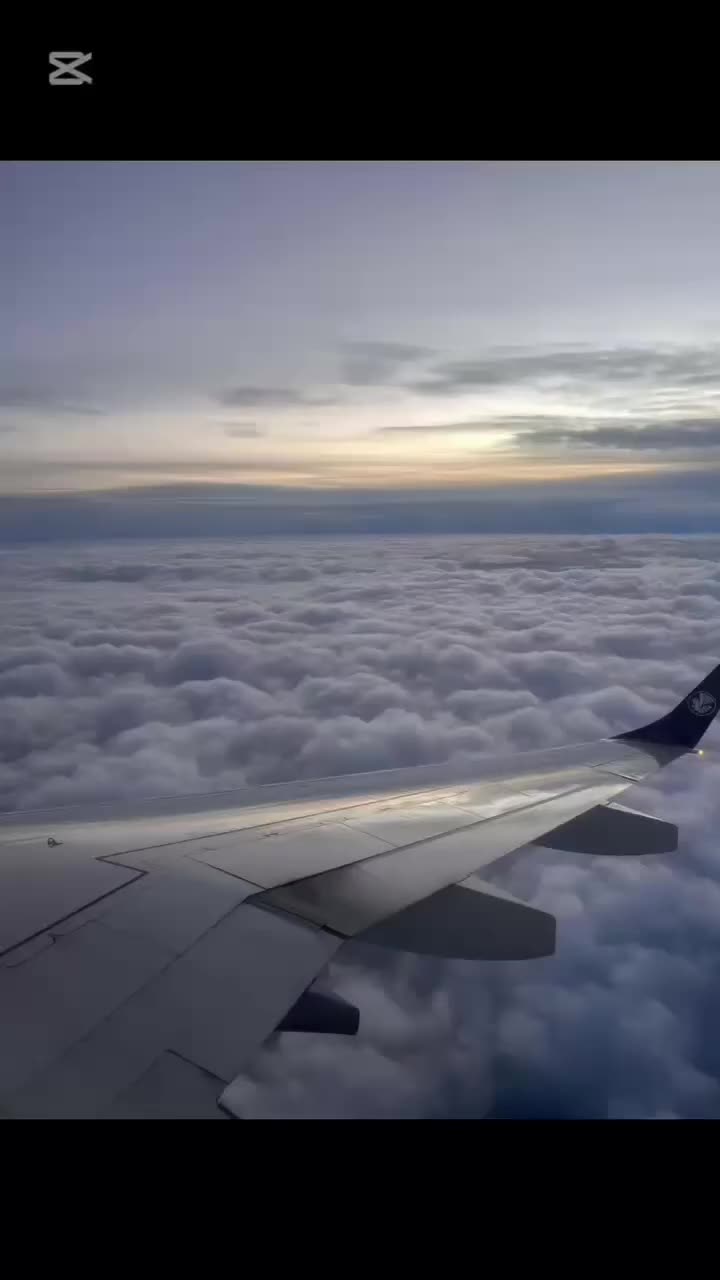 Video post from ellacuriazurbaranbhi.