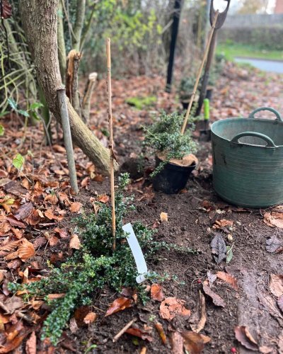 Photo post from grow_naturally_norfolk.