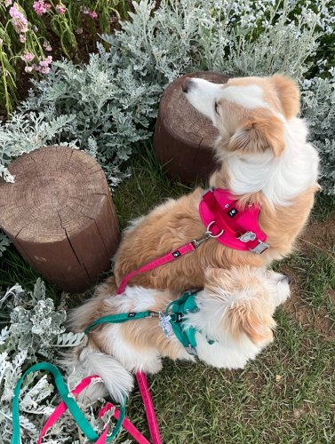 Carousel post from gamja.ne.