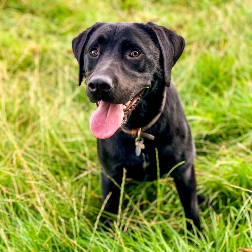 Photo post from themoathouse.