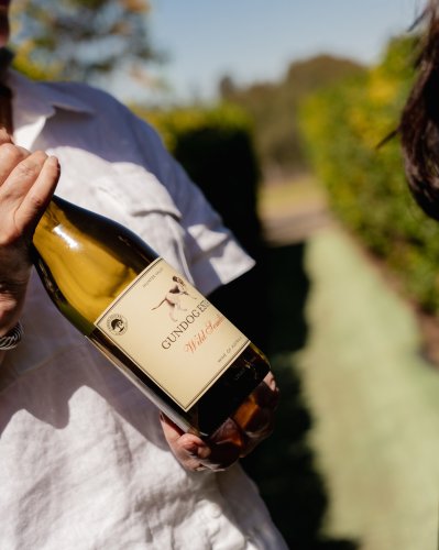 Photo post from gundogestate.