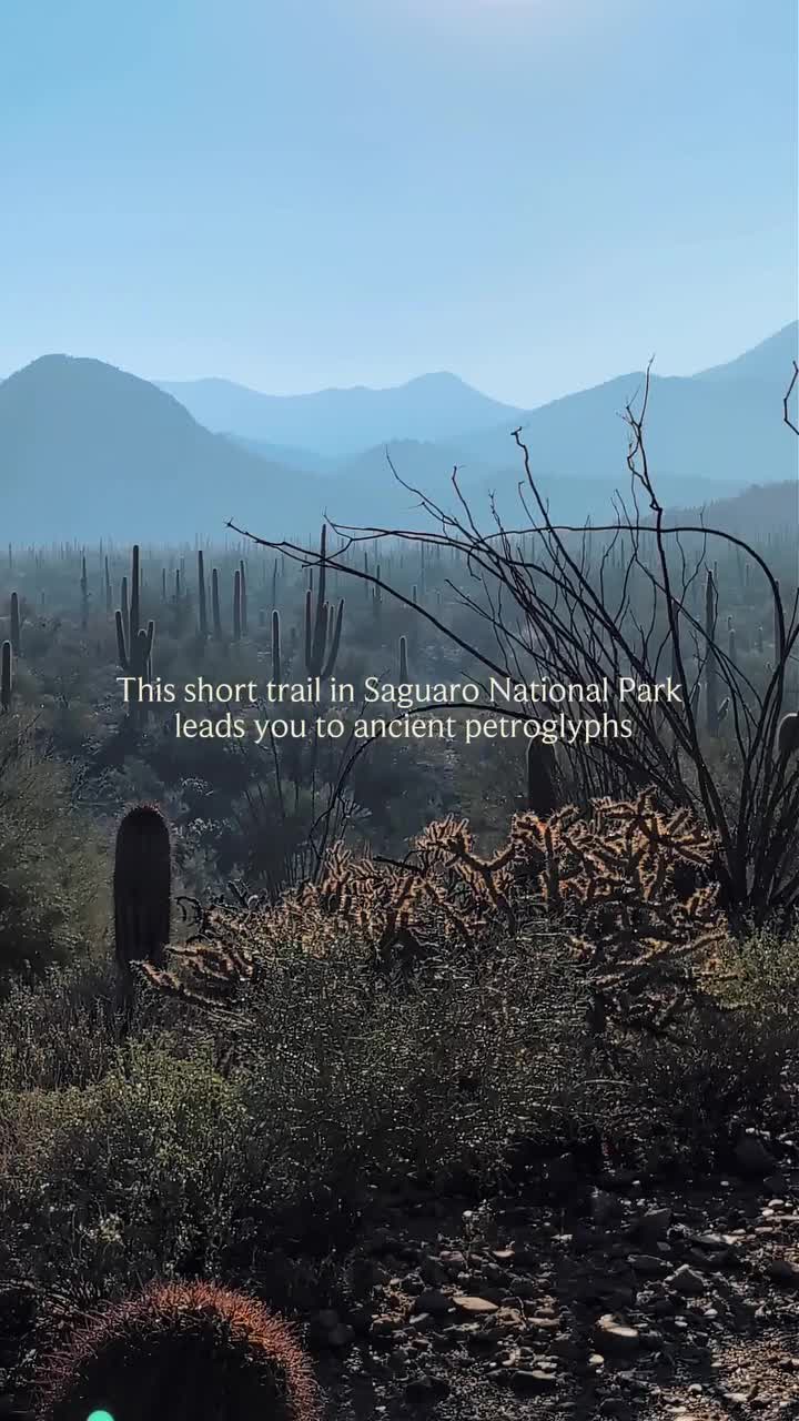 Video post from visittucson.