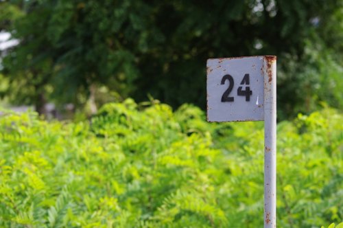 Photo post from purduedffs.