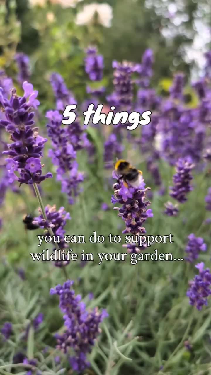 Video post from wildandwonderfulgarden.