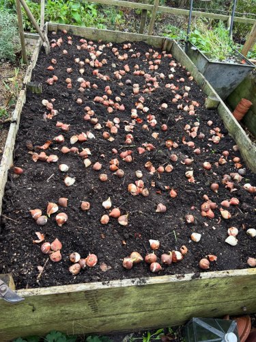 Carousel post from gardenhousebrighton.