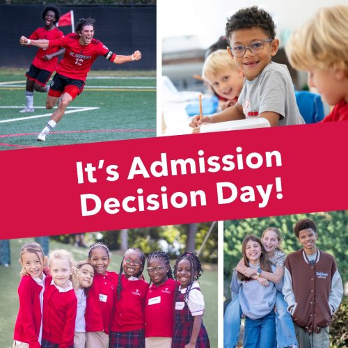 Photo post from saeslions.