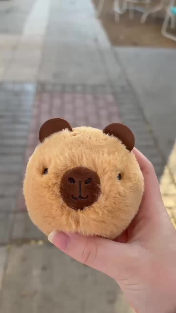 Video post from heysugarcandystore.