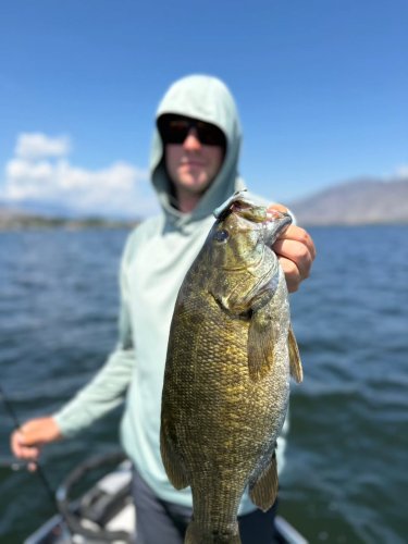 Photo post from garrettscustoms.