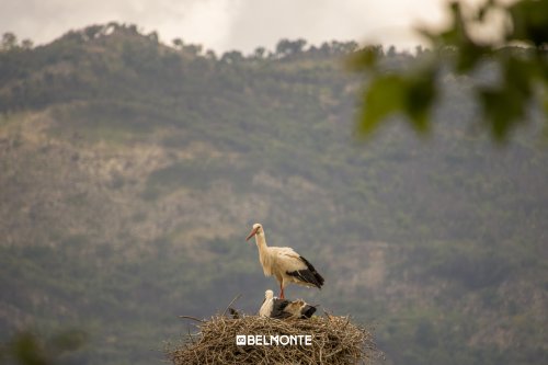 Photo post from visit.belmonte.