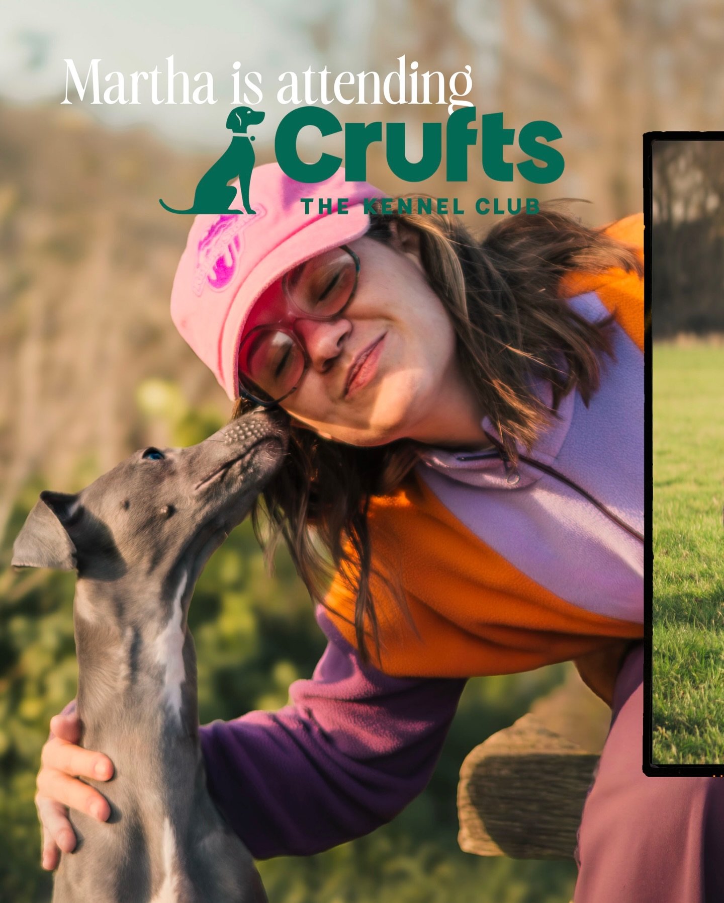 Carousel post from thatwhippetmartha.