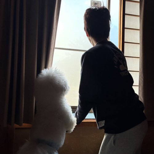 Carousel post from satomogumogu.