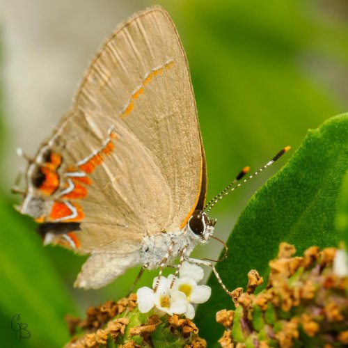 Photo post from texas_pixels.