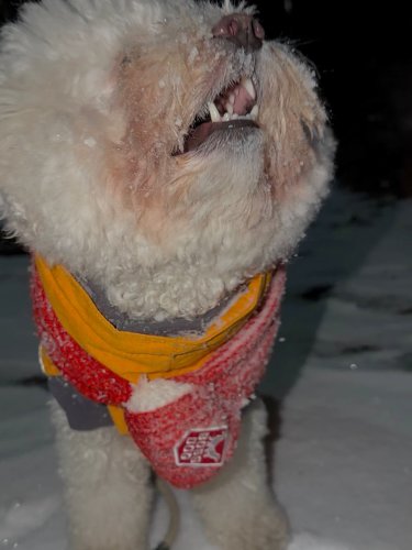 Carousel post from mybabytyrant.