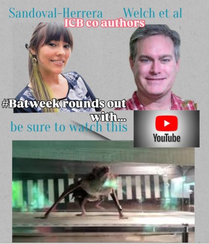 Photo post from icb_journal.