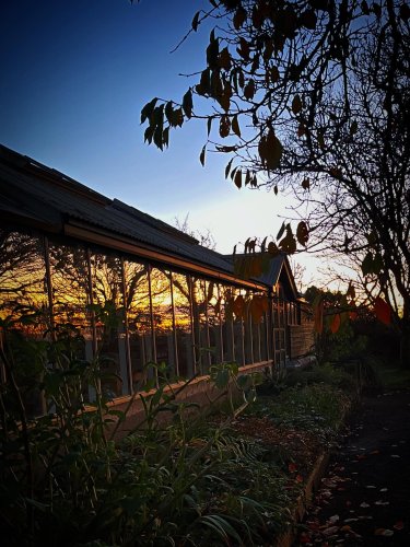 Photo post from potager_garden.