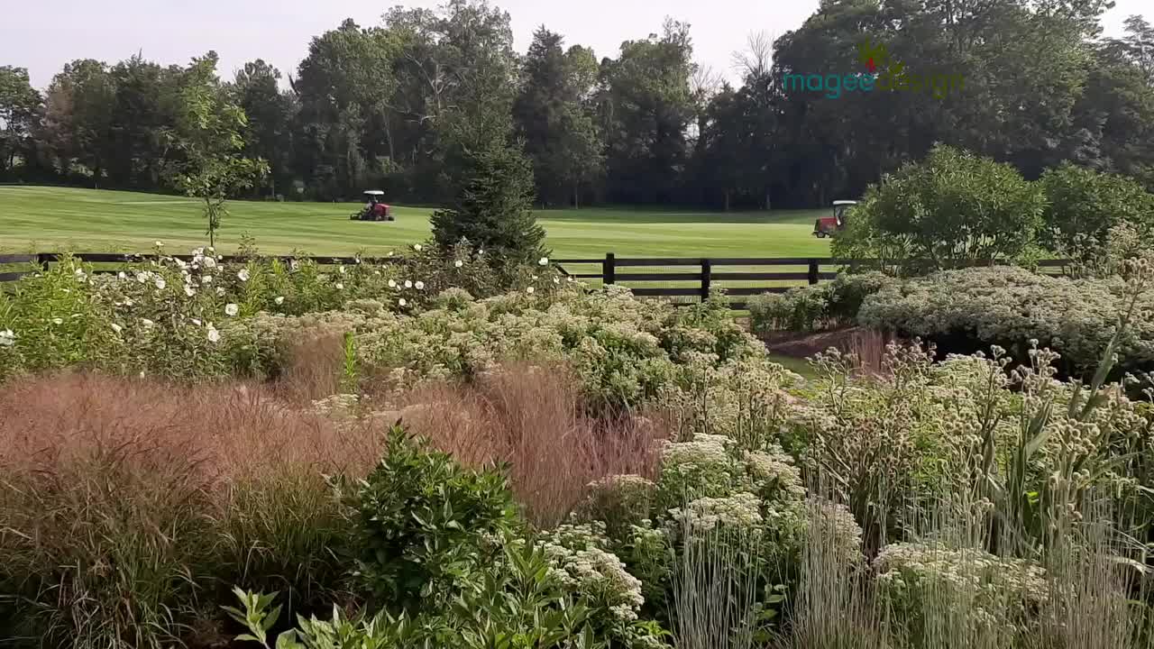 Video post from euphorbia123.