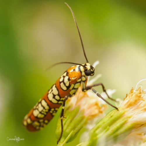 Carousel post from texas_pixels.